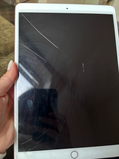 iPad Air 3