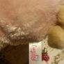 teddy pugsley unicorn Image 4