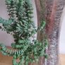vintage planter plant arrangement in the ceramic pot Image 2
