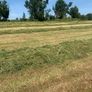 Silage bales Image 9