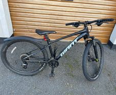 giant Bike