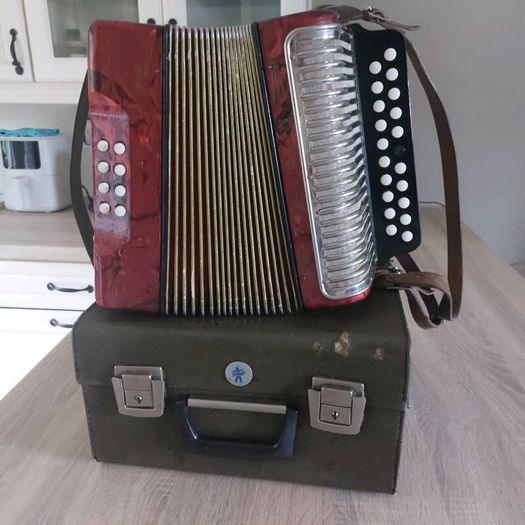 Hohner Black dot Accordian