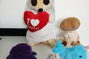 Soft Toys