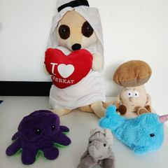 Soft Toys