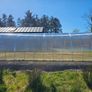 The  Classic Greenhouse Image 6