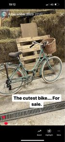 Raleigh Town Bike