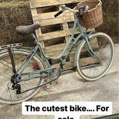 Raleigh Town Bike