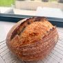 Dehydrated Sourdough Starter Image 4