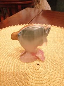 beautiful onyx dolphin