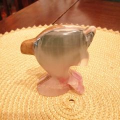 beautiful onyx dolphin