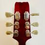 Electric Guitar + Amp & Accessories Image 5