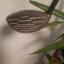 Callaway  [4w] Image 3