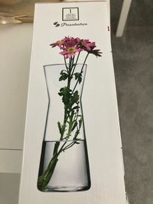 glass vase 26cm tall