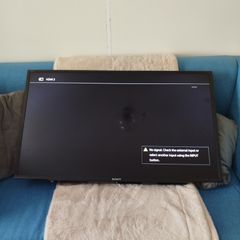 Sony Bravia 42"