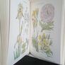 The Reader's Digest Complete Library of the Garden (3 Volume Complete Set) by Reader's Digest (HQ125) Image 7