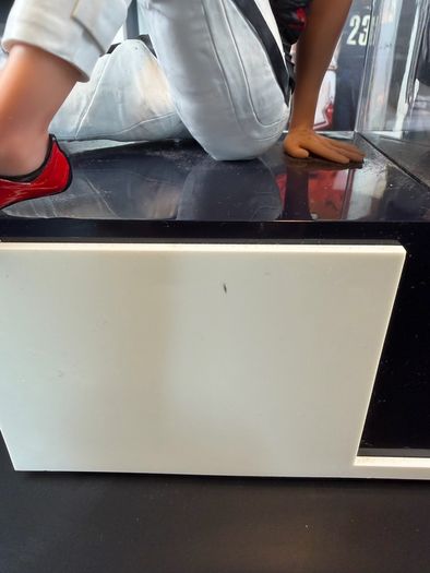 Mirror's Edge Catalyst Collector's Edition