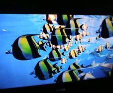 Samsung 40 inch smart hdmi tv.
