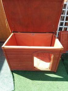 dog house