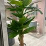 Artificial Plants Image 9