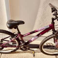 Apollo Jewel Mountain Bike  Small Size  Like New