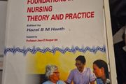 Foundations in Nursing Theory and Practice