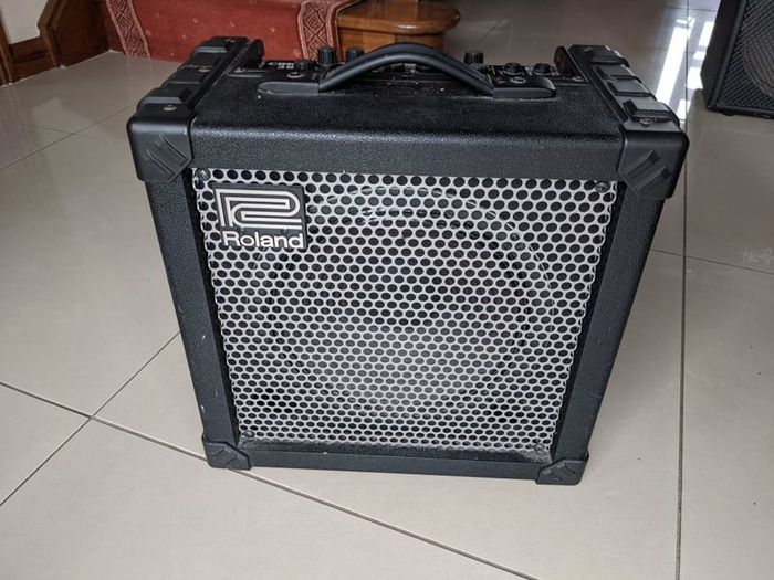 Roland Cube 30 COSM 30W Guitar Amp