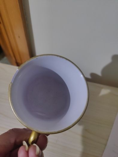 Disneyland cup