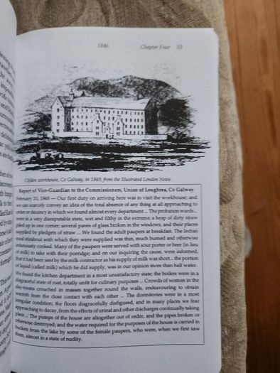 The Irish Famine. An Illustrated History By Helen Litton. First Edition Paperback In Good Condition.