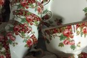 19piece Royal Stratford Olde County Garden