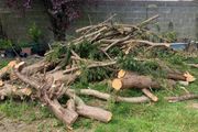 logs