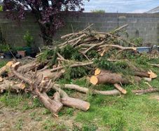 logs