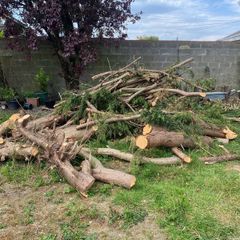 logs