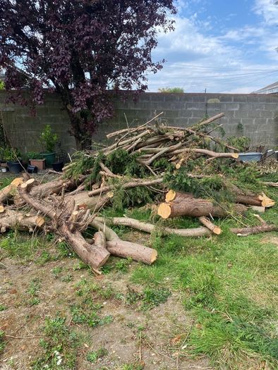 logs