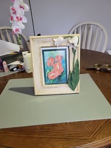 Crinum picture 3d frame