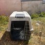 dog box free Image 2