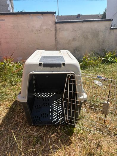 dog box free