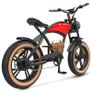 Hidoes B10 Electric Bike Image 5