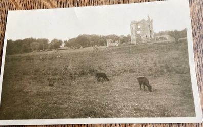 Pettigo Castle Termon McGrath