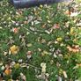 2 seater recliner by 2 Image 6