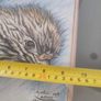 Lovely Fraamrd Signed Pictuer Of Egale  Pencel Coloered By Alan Whitty. Image 7