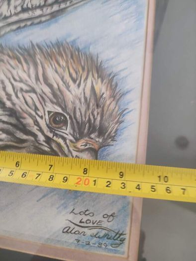 Lovely Fraamrd Signed Pictuer Of Egale  Pencel Coloered By Alan Whitty.