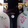 Epiphone Sheraton II (PRICE DROP) Image 3