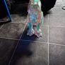dinosaur lamp Image 3