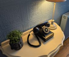 Wild & Wolf 302 Desk Phone (Vintage Style Landline)