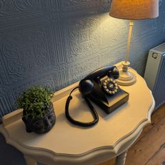 Wild & Wolf 302 Desk Phone (Vintage Style Landline)