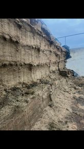 Pit silage