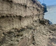 Pit silage