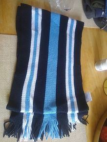 manor house Raheny  scarf brand new