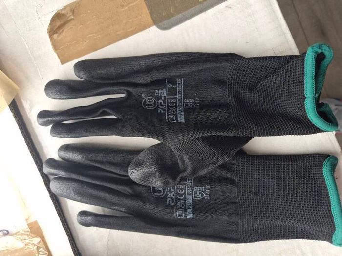 gloves  10 pack