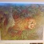 Beningfields Woodlands. Beautiful paintings by Gordan Beningfield of woodland and it birds and animals. Image 10